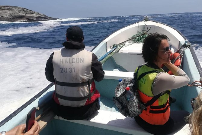 Zapallar and Cachagua Island Experience - Good To Know