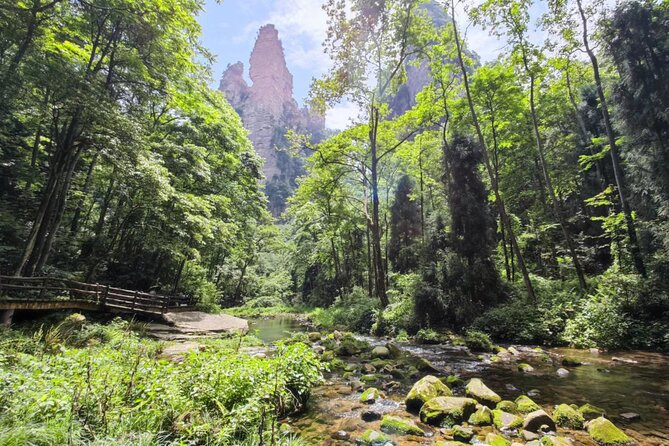 Zhangjiajie National Forest Park 2-Day Guided Tour