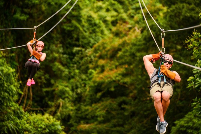 Zip Line Adventure From Punta Cana (Half Day)