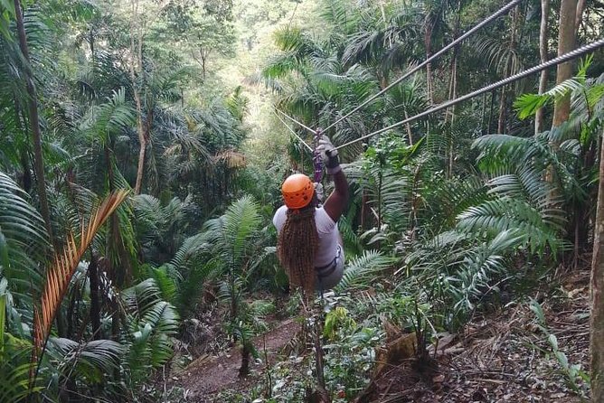 Zipline Adventure In The Rainforest
