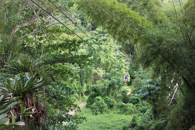 Zipline, Tubing & Bluehole From Montego Bay at Chukka White River