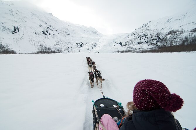 1.5 Hr – Winter Dog Sledding in Knik, Alaska