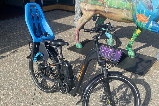 1 Day Electric Bike Rental in Solana Beach - The Sum Up