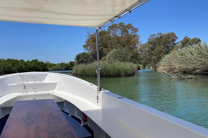 1 Hour Boat Tour in the Ciane Nature Reserve in Syracuse - Tour Details