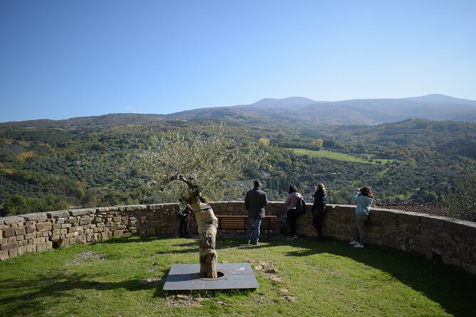 1-Hour Guided Visit to the Olive Tree That Speaks and the Hypogeum Oil Mill