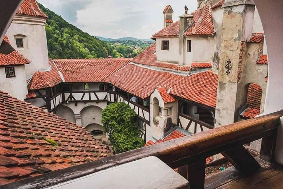 1 Day Castles Tour - Sinaia and Bran - Tour Highlights and Activities