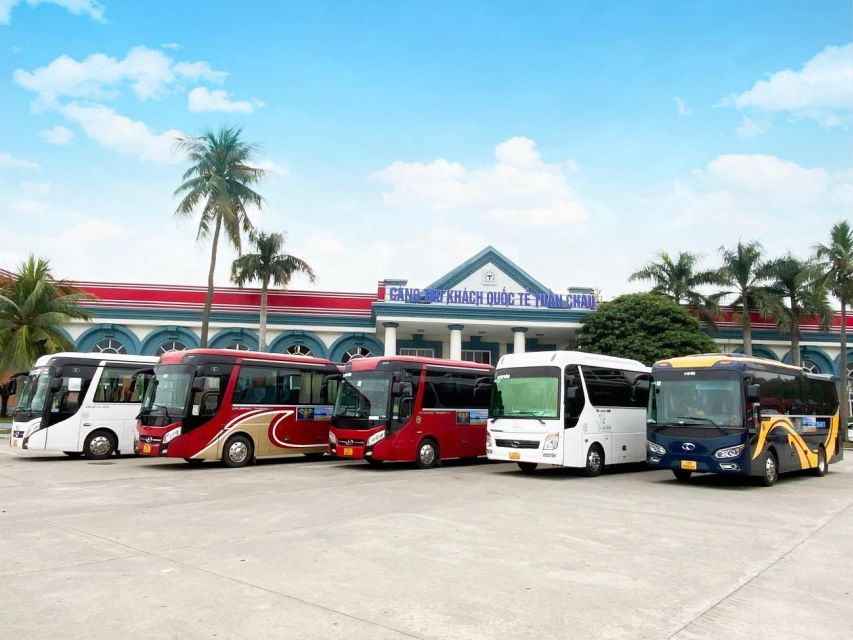 1-Day Halong Bay Cruise/Bus/Lunch/Entrance Fees - Activity Overview