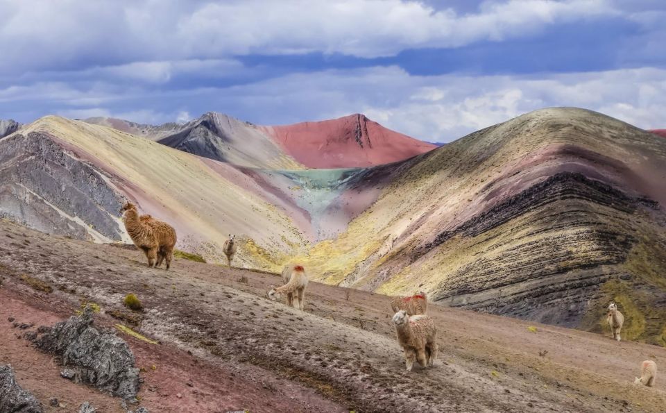 1 Day Trek to Palccoyo Rainbow Mountain - Booking Information