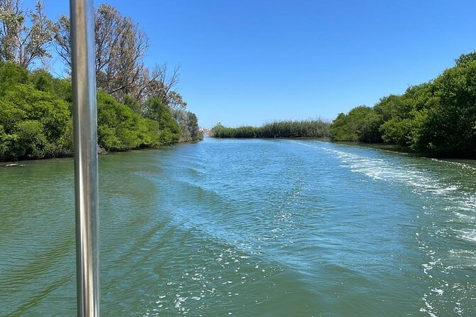 1 Hour Boat Tour in the Ciane Nature Reserve in Syracuse - Inclusions