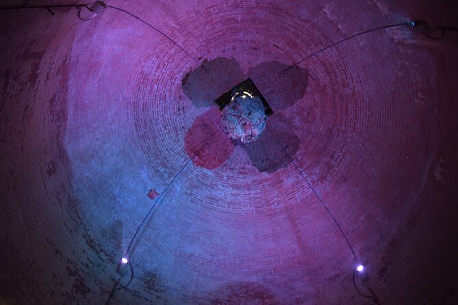 1-Hour Guided Visit to the Olive Tree That Speaks and the Hypogeum Oil Mill - Good To Know