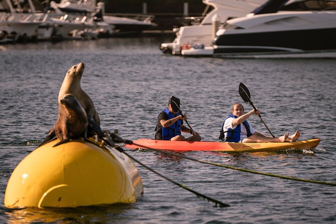 1-Hour Kayaking Activity in San Diego, California - Duration of Kayaking Activity
