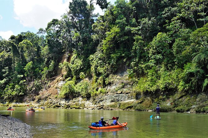 2-Day Kayaking Adventure in the Amazon - Gear and Equipment Provided
