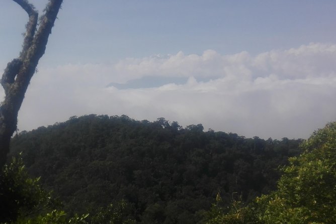 2 Days 1 Night Tour - in Trompito, I Meet Indigenous Community Kogui Uldezhaxa. - Tour Overview