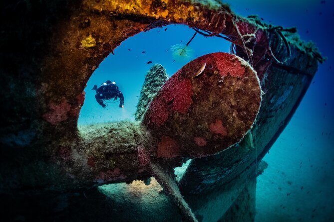 2 Scuba Fun Dives for Certified Divers in St Pauls Bay - Equipment Preparation and Check