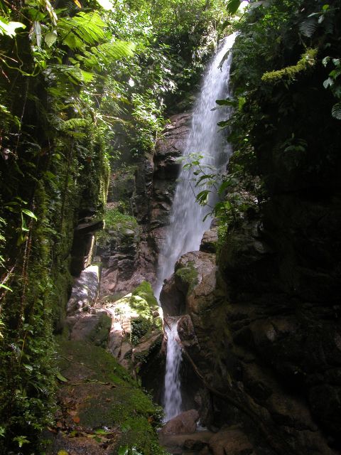 3 Day Jungle Tour Expedition Amazonia Ecuador All Included - Experience Highlights