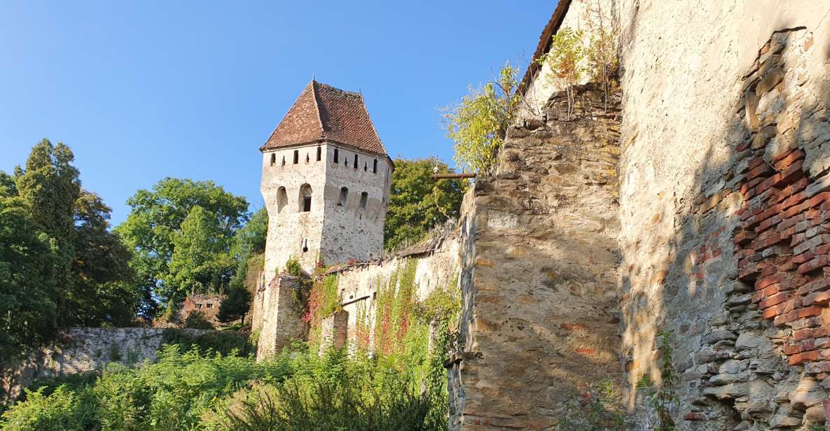 3 Days Private Guided Tour Including Transfagarasan Highway - Tour Experiences and Highlights