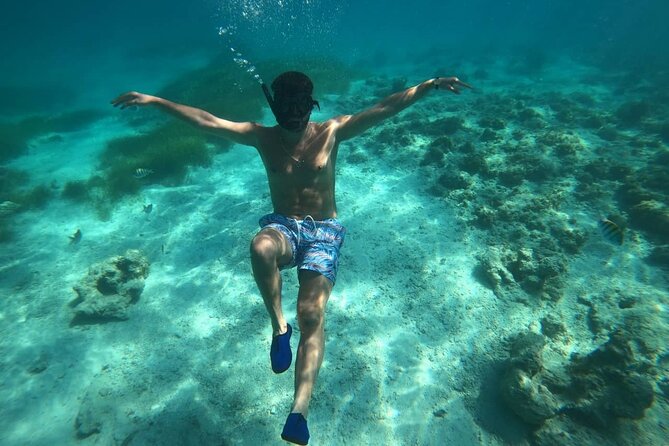 3-Hour Guided Snorkeling and Boat Party in Punta Cana - Tour Highlights
