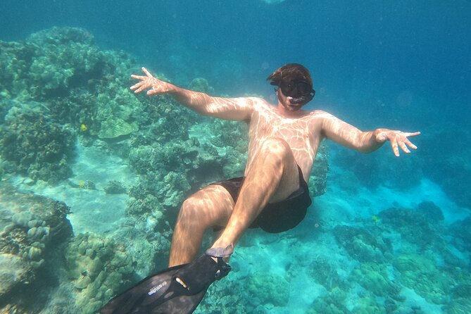 3 Hr Kealakekua Bay Morning Snorkel Tour