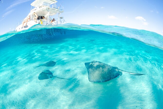 3-Stop Adventure: Stingray City and Snorkeling at Cayman Reefs - Good To Know