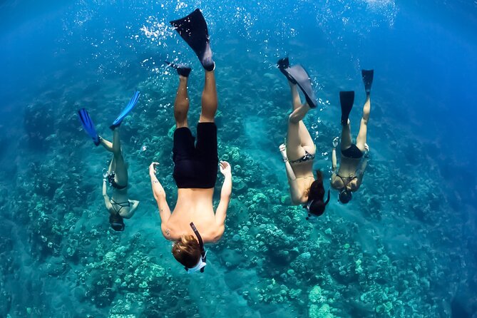 3hr Koa Kai Molokini Snorkel & Whale Watch Adventure - Good To Know
