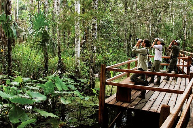 4 Day Tour in Tambopata National Reserve - Tour Overview