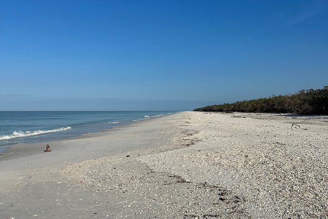 4 Hour Marco Island Private Fishing,Shelling,or EcoExperience - Tour Highlights