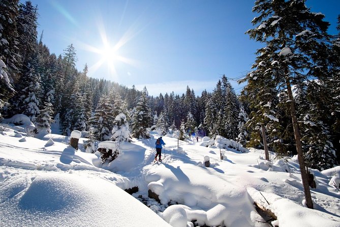 4 Hours Skitour Trip in Tatra Mountains for Beginners With Renting Equipment - Good To Know