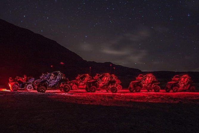 4h Turtle Watching With SSV Buggy Night 4WD - Highlights of the Nighttime Buggy Ride
