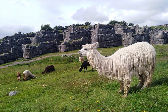 5-Day Machu Picchu Private Guided Historical and Cultural Tour - Cultural Experiences