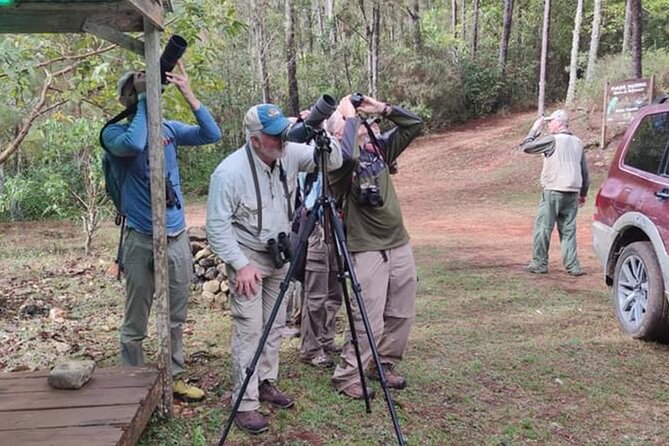 6-Day Bird Watching Tour in the Sierra De Bahoruco - Tour Overview