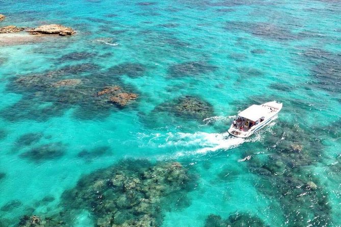 Adventure Antigua - Elis Original Eco Tour - Reviews