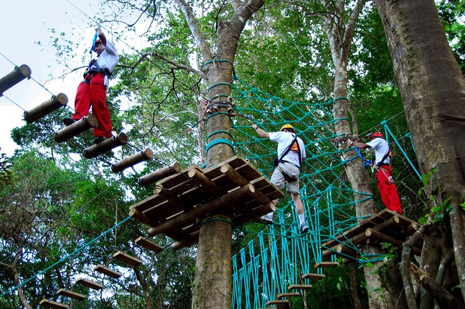 Adventure Park High Ropes Course - Pricing and Booking Information
