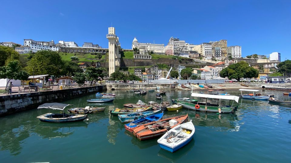Afro-Brazilian Roots Private City Tour in Salvador" - Tour Highlights