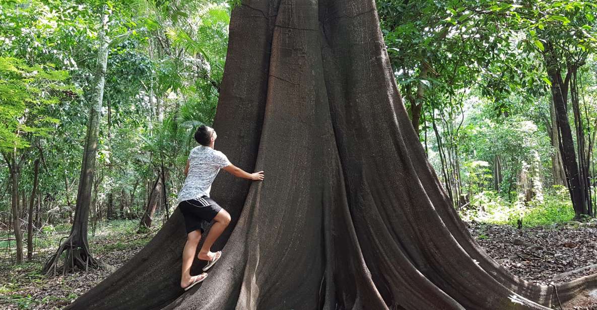 Amazon Jungle: 3- or 4-Day Tour at Ipanema River Guest House