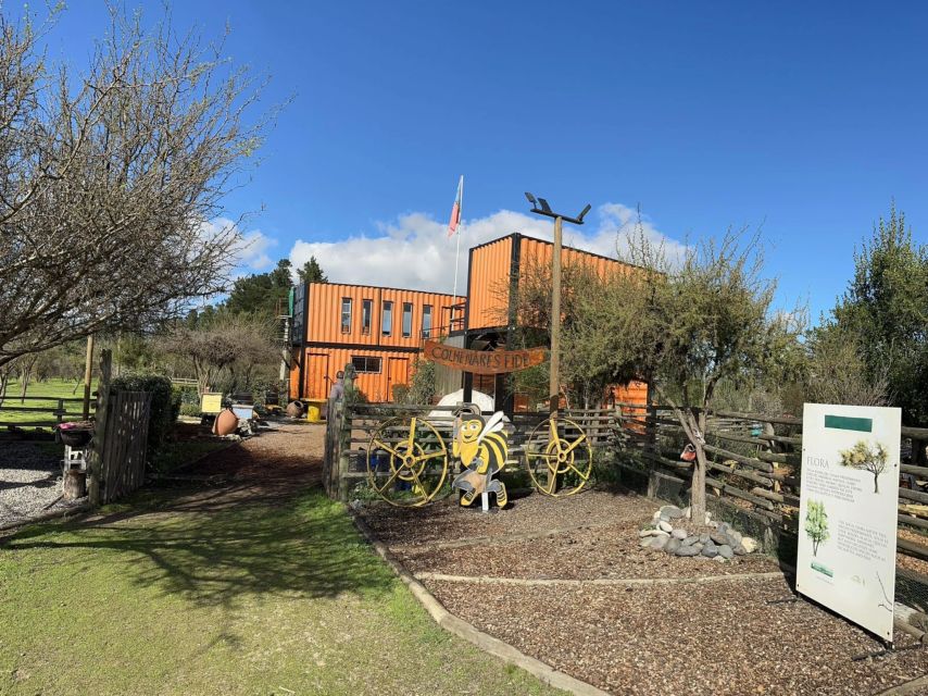 Apiculture and Vineyard Experience in Valparaiso - Good To Know