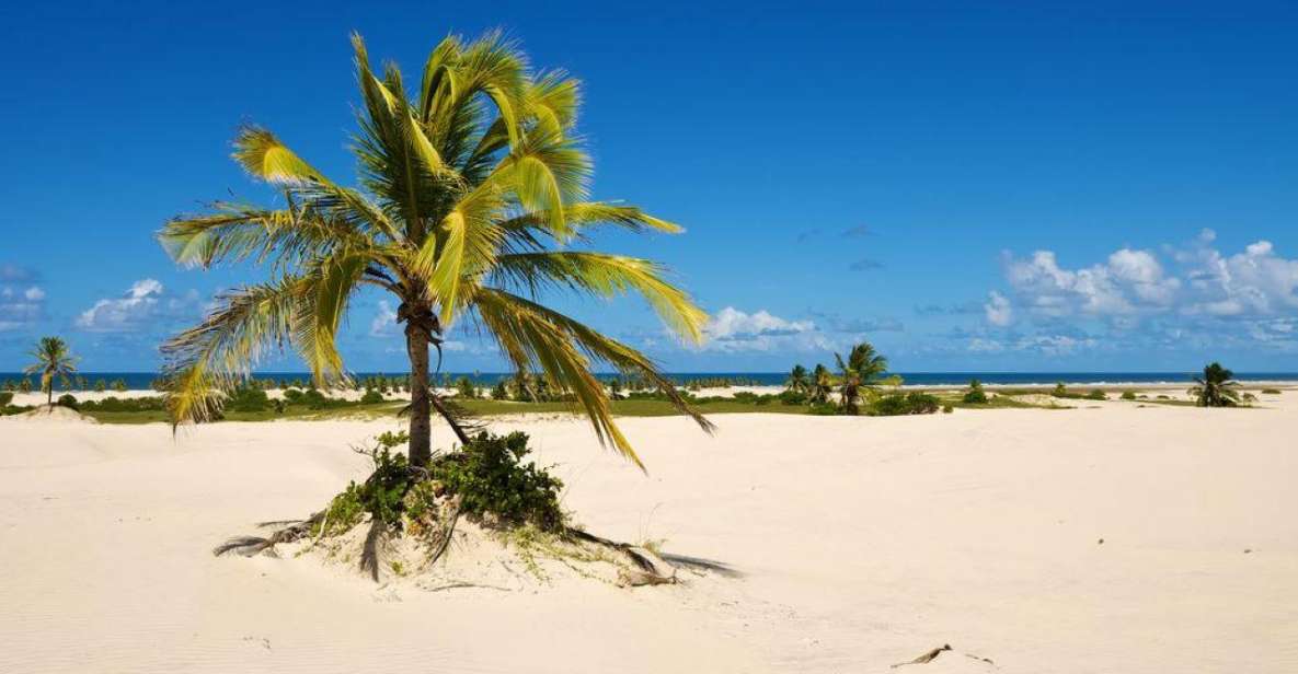 Aracaju: Tour to Mangue Seco - Cancellation Policy