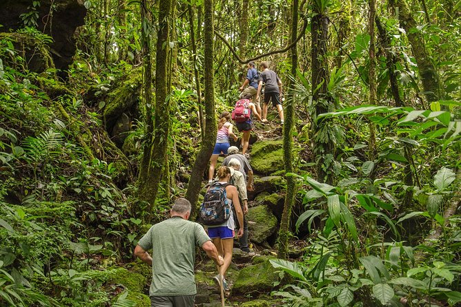 Arenal Volcano Hike Trail & Baldi Hot Springs From Arenal - Inclusions