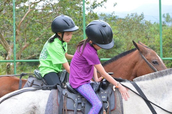 Arenal Wilberth Stable - Activity Highlights