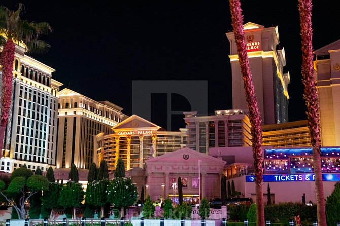 Arrival Private Transfer: Las Vegas Airport LAS to Las Vegas in Luxury Car - Good To Know
