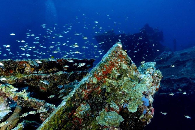 Aruba Afternoon Sailing and Snorkeling Trip With Lunch - Cancellation Policy