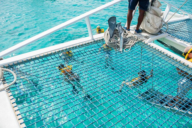 Aruba Sailing & Snorkeling Experience - Terms & Conditions