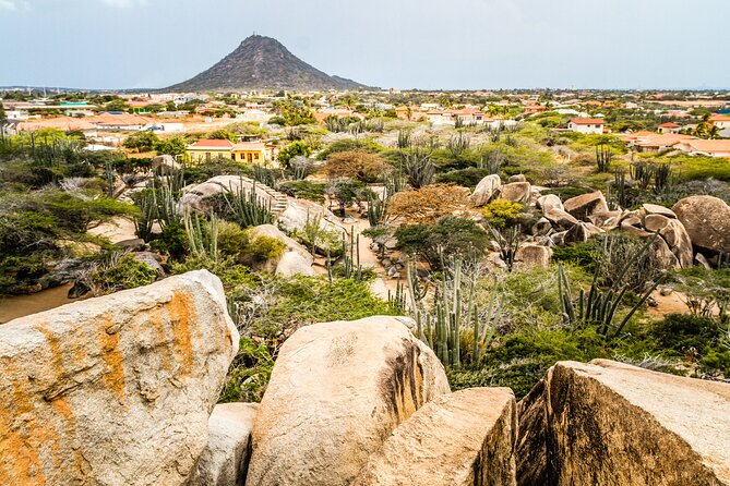 Aruba Sightseeing - Tour Experiences and Recommendations