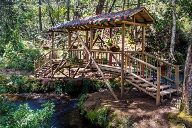 Arvi Park and Waterfalls Medellín City Tour 5-Hour - Good To Know