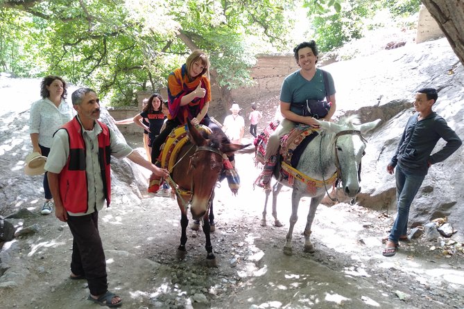 Atlas Mountains Full Day Group Trek With Lunch  - Marrakech - Questions and Contact Information