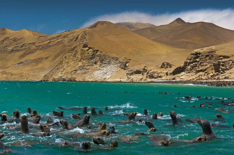 ATV Adventure Ballestas Island and Paracas National Reserve - Activity Details