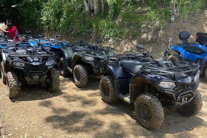 ATV Adventure in Green Island and Negril 7 Miles Beach Activity - Green Island ATV Adventure Details
