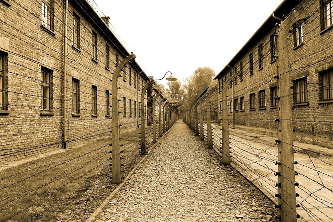 Auschwitz Birkenau Live Guide Tour - Admission and Accessibility Details