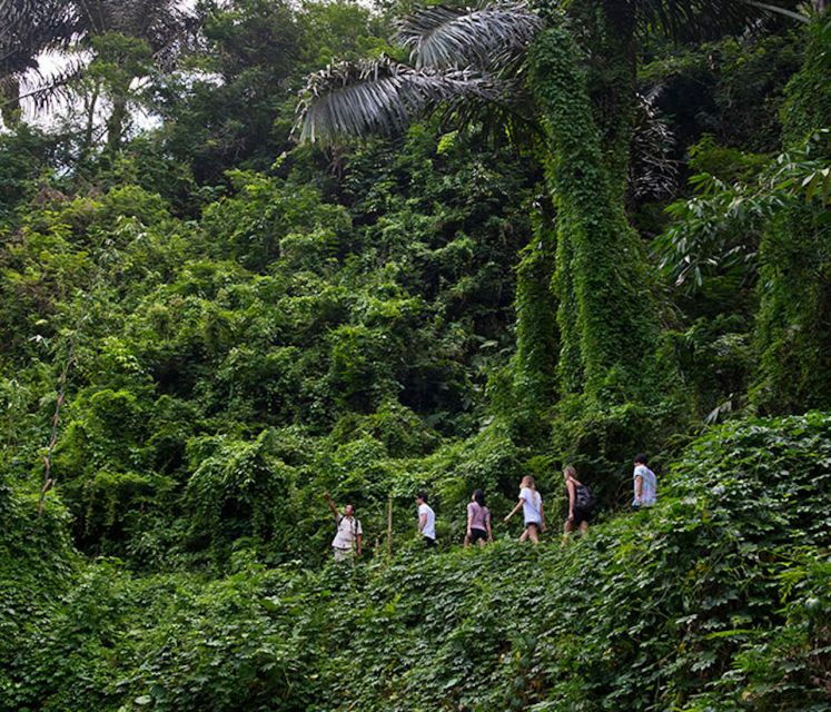 Bali: Jungle Trek and River Rafting With Lunch - Good To Know