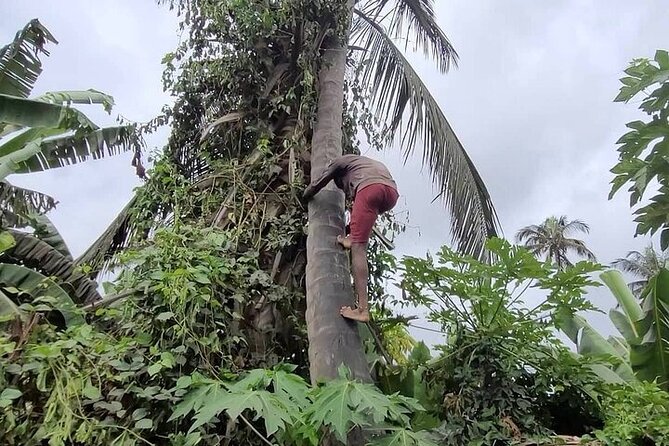 Banana Plantation / Black Sand Beach Experience - Pricing and Booking