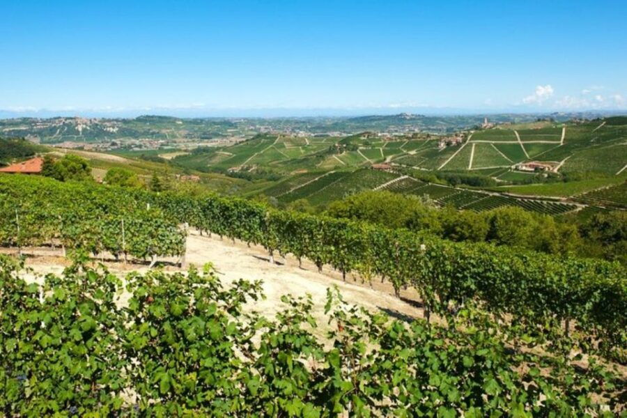 Barbaresco: E-Bike Tour of Piedmont Wineries With Tastings